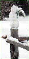 Мини снежен човек